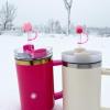 Amreich Cute Pig Straw Covers for 10mm Straws Compatible with Stanley Cup view 3