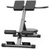 Folding Dumbbell Bench Adjustable Roman Chair Sit up Bench,Utility Folding Waist Twisting Machine,Home/Gym Dumbbell Bench Biceps Fitness Equipment for Body Exercise Strength Training view 2