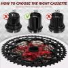 BUCKLOS 8/9/10/11/12 Speed Cassette Ultra-Light 11-25/28/32/34/36/40/42/46/50/52T Bike Cassette Fit Mountain Bike/Road Bike/XC/DH/AM,Compatible with Shimano Sram HG Hub Driver view 4