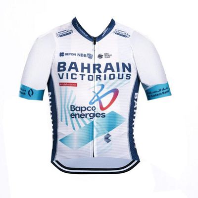 2024 Pro Team Bahrain Cycling Jersey for Men,Short Sleeve Quick Dry Bike Shirt (4XL)