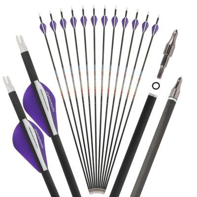 SHARROW 31" Carbon Arrows Hunting Arrows Spine 250 300 350 400 500 600 with Replaceable Tips Targeting Practice Arrows for Compound/Recurve/Long Bow 6/12pcs (12, Purple & White, Spine 350)