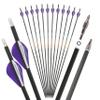 SHARROW 31" Carbon Arrows Hunting Arrows Spine 250 300 350 400 500 600 with Replaceable Tips Targeting Practice Arrows for Compound/Recurve/Long Bow 6/12pcs (12, Purple & White, Spine 350) view 1
