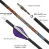 SHARROW 31" Carbon Arrows Hunting Arrows Spine 250 300 350 400 500 600 with Replaceable Tips Targeting Practice Arrows for Compound/Recurve/Long Bow 6/12pcs (12, Purple & White, Spine 350) view 2