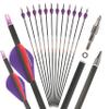 SHARROW 31" Carbon Arrows Hunting Arrows Spine 250 300 350 400 500 600 with Replaceable Tips Targeting Practice Arrows for Compound/Recurve/Long Bow 6/12pcs (12, Purple & Red, Spine 250) view 1