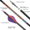 SHARROW 31" Carbon Arrows Hunting Arrows Spine 250 300 350 400 500 600 with Replaceable Tips Targeting Practice Arrows for Compound/Recurve/Long Bow 6/12pcs (12, Purple & Red, Spine 250) view 2