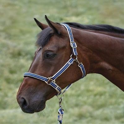 Dover Saddlery Equestrian Padded Striped Breakaway Halter Lead - Navy - Horse-F/S