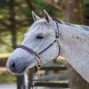 Dover Saddlery Equestrian Padded Striped Breakaway Halter Lead - Navy - Horse-F/S view 2