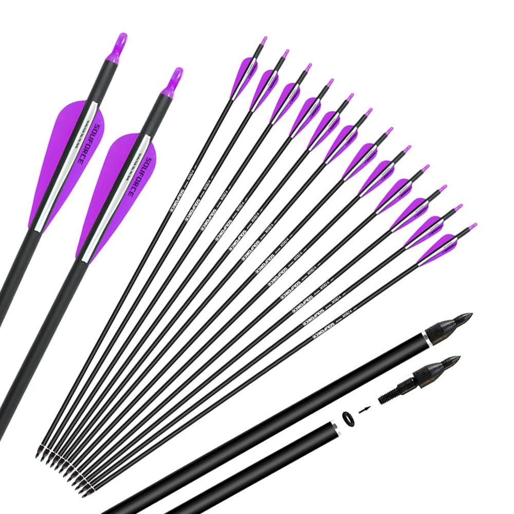 SOUFORCE 30" Purple Carbon Archery Arrows, Spine 500 with Removable Tips, Hunting Arrows Target Practice for Compound Bow and Recurve Bow, 12 Pcs