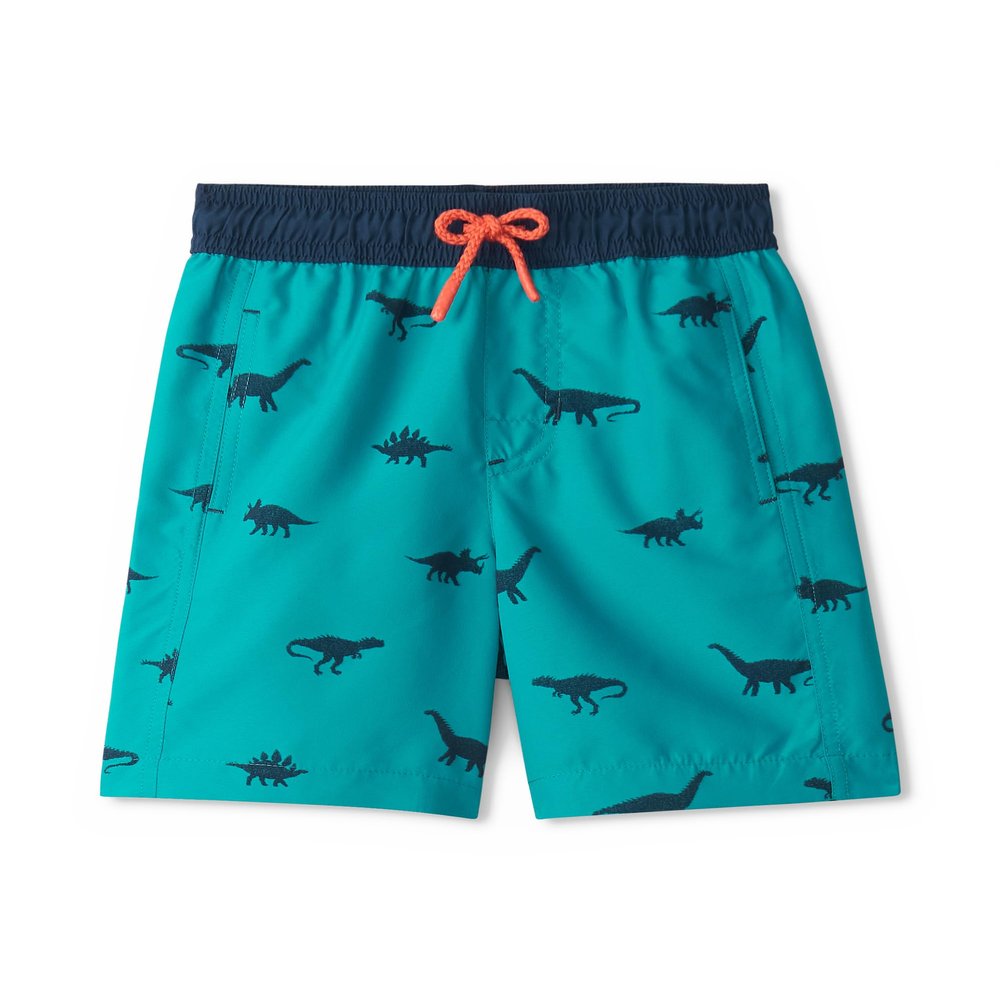 Hatley Boys' Swim Board Shorts, Silhouette Dino, 10 Years