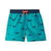 Hatley Boys' Swim Board Shorts, Silhouette Dino, 10 Years view 1