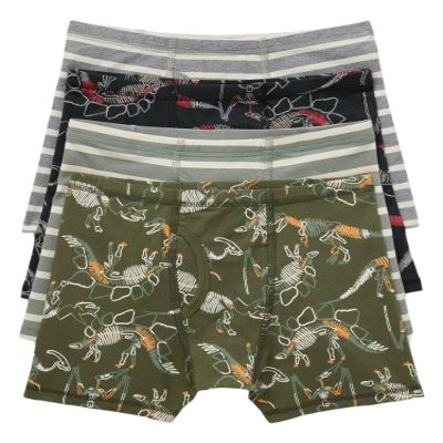 GAP Boys 4-Pack Boxer Briefs Multi 1Cc XL