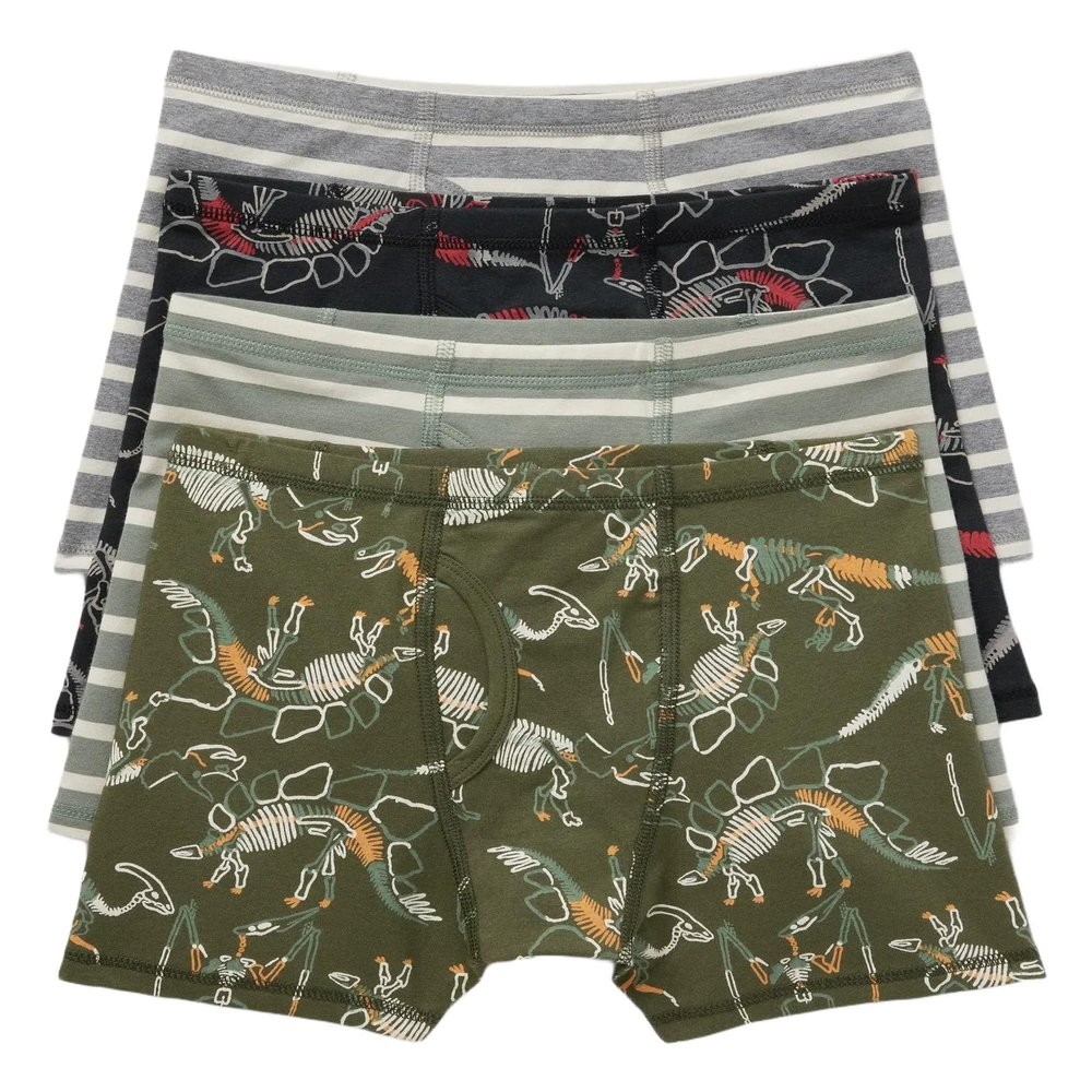 GAP Boys 4-Pack Boxer Briefs Multi 1Cc XL