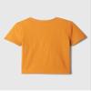 GAP Boys Short Sleeve Graphic Tee Tigers Eye 651 12-18M view 2