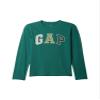 GAP Boys Long Sleeve Logo Tee Balsam Tree XL view 1