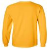 CornBorn Missouri Apparel Men Tee Shirt - Long Sleeve Horiz Stripe Mizzou Tigers - Gold - Large view 2