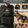 Bluyellow 2-Pack German Flag Skull Patch Embroidered Skull on German Flag Patch Hook and Loop Tactical Patches for Military Backpack Tactical Vest Dog Vest Airsoft Patch 2x3 view 4