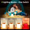 BOBKID LED Camping Lantern, Rechargeable Camping Light, 4 Modes Outdoor Flashlights Lanterns with 1000LM, Water Resistant Portable Emergency Camp Light for Hurricane Hiking Survival Kits - Orange view 4