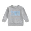 Lamuusaa Toddler Baby Girl Boy Birthday Outfit One/Two/Three/Four/Five/Six Embroidery Sweatshirt Shirts Birthday Gift view 1
