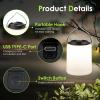 BOBKID LED Camping Lantern, Rechargeable Camping Light, 4 Modes Outdoor Flashlights Lanterns with 1000LM, Water Resistant Portable Emergency Camp Light for Hurricane Hiking Survival Kits - Black view 2