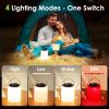 BOBKID LED Camping Lantern, Rechargeable Camping Light, 4 Modes Outdoor Flashlights Lanterns with 1000LM, Water Resistant Portable Emergency Camp Light for Hurricane Hiking Survival Kits - Black view 4