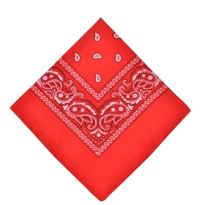 MissShorthair Large Bandana cotton Handkerchiefs Head Bandanas for Men Red Bandana hankies Packs Paisley Bandanas