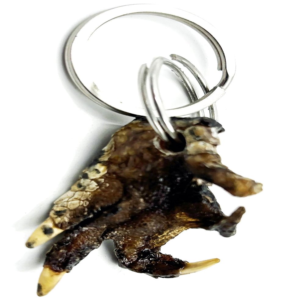 Alligator Claw Paw Real Gator Key Ring Magic Voodoo New Orleans Bayou