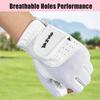 MAZEL Women's Golf Gloves One Pair Open-Finger Design,Breathable Hot Wet Weather Sweat-Absorbing,Fit Size S M L XL (White, Small) view 3