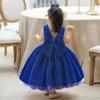 Big Bowknot Princess Dress Birthday Easter Flower Girl Dress 6M 12M Blue 70 view 4
