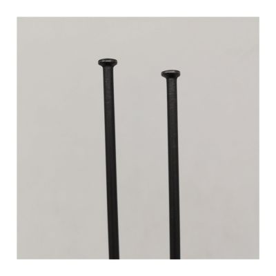 ESSISH Bicycle Spokes 10 Pieces A Lot 14 Gauge Diameter 2.0 mm Straight Pull Mountain Bike Spokes Black Color Tint Black Surface Bicycle Spokes for Mountain Bike 700C Wheels (Color : 285mm)