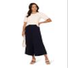 Adrianna Papell Diffusion Women's Crew Neck Cable Scalloped Edge Tipped Short Sleeve Sweater, Ivory/Black, L view 4