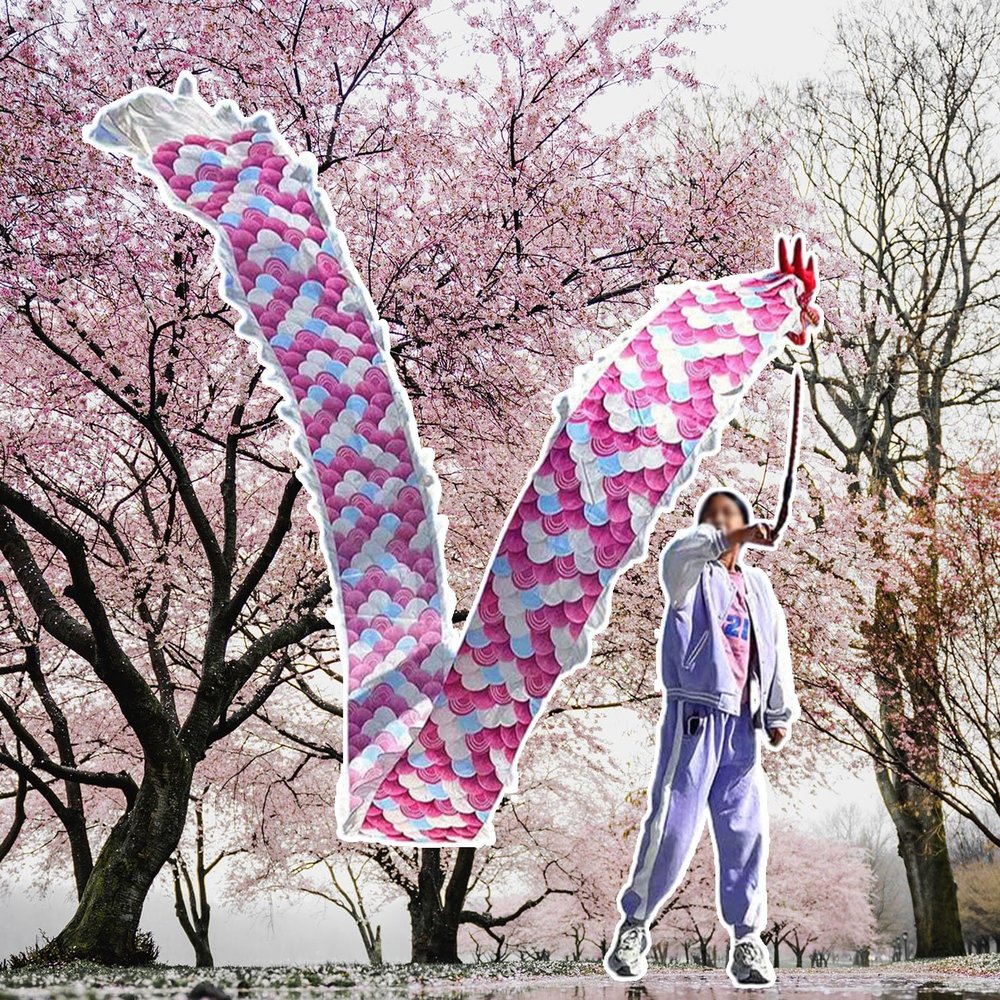 Kunovo Dragon Poi Small Size Beginners Dragon Poi Kite, 6.5 ft, 10 ft, 16.4 ft Long Dragon Ribbon Streamer Set, Outside Practice Ribbon Dancer for Celebration (Size : 3 m (10 ft))