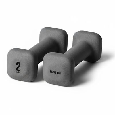 WeGym SafeGrip Square Dumbbells with Anti Slip Handles, Aesthetic Free Weights for Home Workouts, Stable Design Prevents Rolling during Floor Exercises (2LB, Pair Slate)