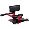 OCKULT Sissy Squat Machine Multi-Function Deep Sissy Squat Machine Home Workout Equipment for Women & Men, 104*59.5*51cm, Black view 1