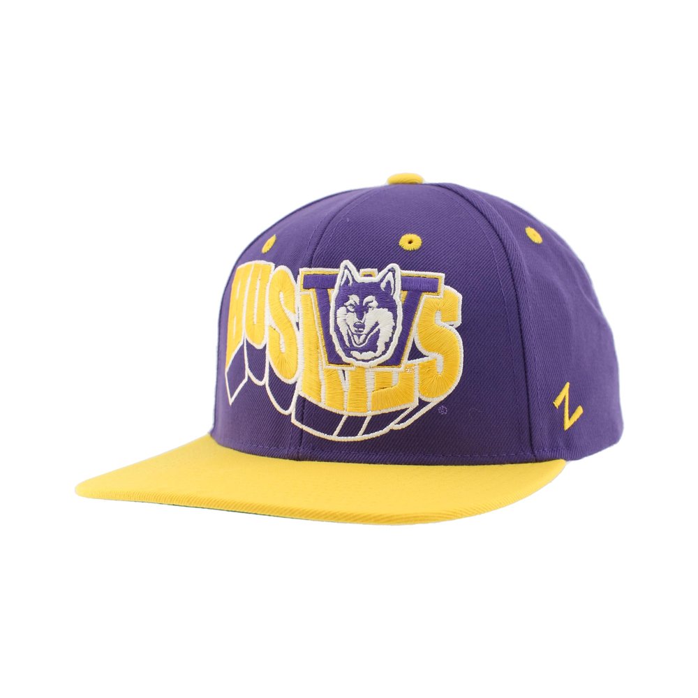 Washington Huskies NCAA Officially Licensed Hat Flat Snapback Z11 Retro Flashback Team Color