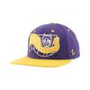 Washington Huskies NCAA Officially Licensed Hat Flat Snapback Z11 Retro Flashback Team Color view 1