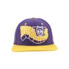Washington Huskies NCAA Officially Licensed Hat Flat Snapback Z11 Retro Flashback Team Color view 2