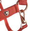 Shires ARMA Comfy Fleece Headcollar (Coral, Cob) view 3