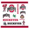 Rico Industries NCAA Ohio State Buckeyes Double Wall 16oz Tritan Tumbler view 2