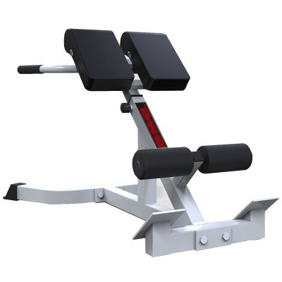 Multipurpose Roman Chair Steel Frame, Gym/Basement/Garages Back Extension Bench & Workout Chair, for Whole-Body Training, Adjustable Cushion Gap, White Champagne