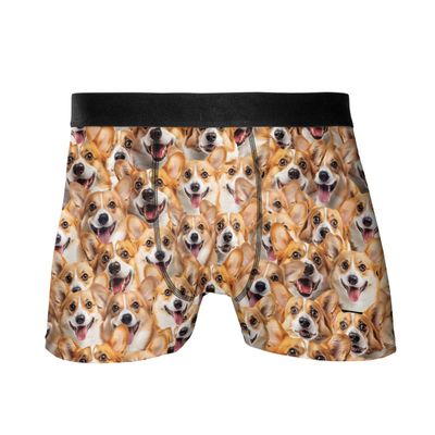 HANZSPROUT Chihuahua Boxers for Men - Dog Lover Mens Underwear Boxer Briefs Underwear 1 Size S