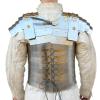 THE MEDIEVALS Brass Plain Roman Lorica Segmentata Chest Plate Armor view 3