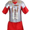 THE MEDIEVALS Brass Plain Roman Lorica Segmentata Chest Plate Armor view 4