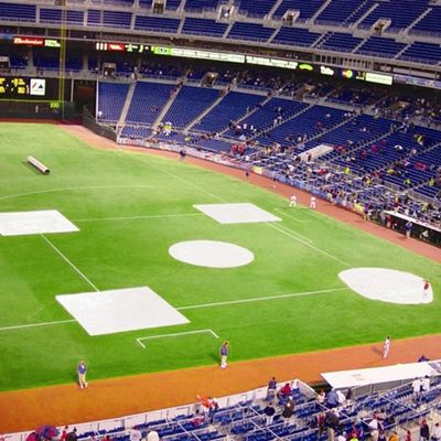 FORTRESS Baseball Field Tarp Bundles | Premium Covers Tailored for Little League and Big League Excellence | Optimal Protection for Baseball and Softball Pitches (Big League)