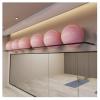 SOYDAN Wall-Mounted Sports Ball Storage Rack - Adjustable Heavy-Duty Fitness Organizer, 97" (245cm) Length, For clubs, gyms, & homes view 1
