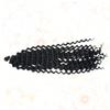 DOITOOL 3pcs Boho Braids Wig Women African Dirty Braid Girls Wig Curly Hair Accessories Springy for Parties view 4