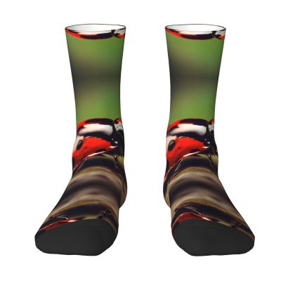 berbo red ladybug Unisex Cotton Socks for Men & Women - Tall,Optimum Comfort & High Durability for Daily Use and Athletics, White