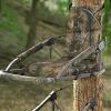 BusoTh Hunting Tree Stand Chair Cushion, Camouflage Tree Stand Seat Cushion Foldable Anti Slip Portable with Straps for Outdoor (Oak), BusoThngt1afz4h6-11 view 2