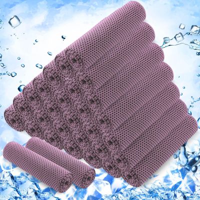 Hosuly 30 Pack Cooling Towels, 40"x12" Ice Breathable Chilly Sweat Rag Microfiber Workout Rags for Gym Towels for Neck and Face for Yoga Golf Sport Running(Pink)