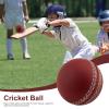 amyko Cricket Ball, Cricket Wind Balls, Heavy Tennis Play Balls, Foam Ball Boy Cricket for Indoor Outdoor Coaching, Practice, Garden Beach Games, Woorld Cup Practices, 3PCS, Brown view 3