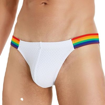 Wayonge Mens Ice Silk Briefs with Rainbow Stripes for Men Mesh Triangle Underwear Mens Brief Underpanties (Medium,White)